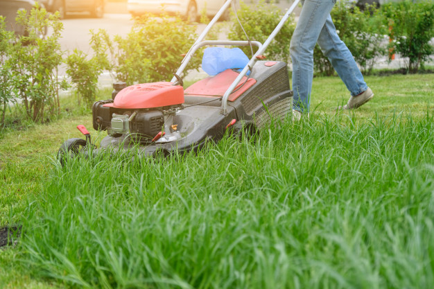 škarje za živo mejo